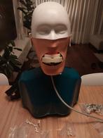 Fantolmhoofd Tandheelkunde, Ophalen of Verzenden, Zo goed als nieuw