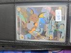 Raichu pal211, Hobby en Vrije tijd, Ophalen of Verzenden, Zo goed als nieuw, Losse kaart