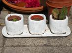 Bloempotjes. Cactuspotjes., Ophalen of Verzenden, Zo goed als nieuw, Overige vormen, Aardewerk