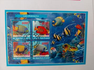 286 Motief, Dier, Dieren, Zeedier, Zeedieren, Vis, Vissen beschikbaar voor biedingen