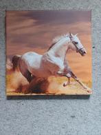 canvas paard  schilderijtje nieuw, Ophalen of Verzenden, Nieuw, Wanddecoratie