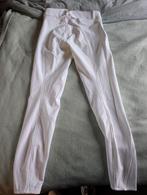 Te koop nieuwe wedstrijd broek, Dieren en Toebehoren, Paardrijkleding, Ophalen, Zo goed als nieuw, Dressuur, Onderkleding