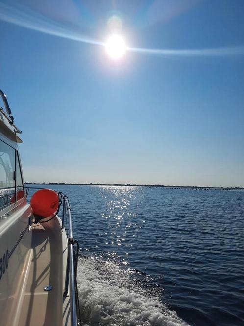 Motor Yacht, Watersport en Boten, Motorboten en Motorjachten, Gebruikt, Polyester, 6 tot 9 meter, Diesel, Binnenboordmotor, 50 pk of meer