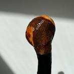 Blackthorn Shillelagh, Sleedoorn wandelstok, gelakt., Ophalen, Nieuw