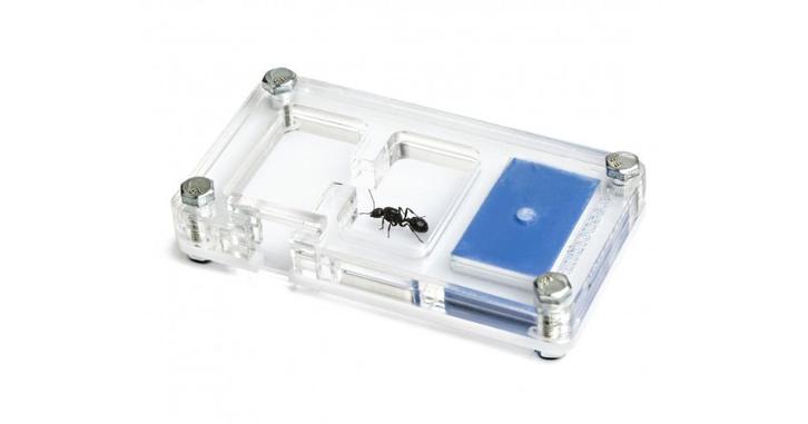 Acryl starter nest voor mieren 9x5x1,3cm, Dieren en Toebehoren, Insecten en Spinnen, Mieren