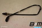 Lambdasonde VW Polo 6C motor CJZ 04E906262BJ, Gebruikt