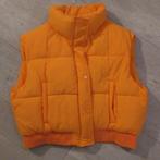 Vrolijke bodywarmer nieuw large, Kleding | Dames, Bodywarmers, Primark, Ophalen of Verzenden, Nieuw, Maat 42/44 (L)