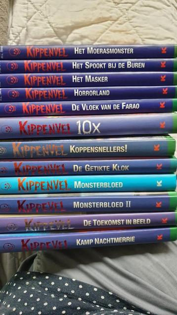 12 Kippenvel Boeken plus1 extra griezelboek  beschikbaar voor biedingen