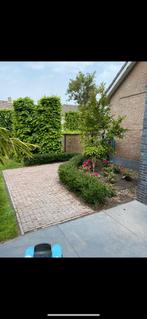 Gebakken waaltjes ca.5x20x9cm, totaal 18m2, Tuin en Terras, Tegels en Klinkers, Overige materialen, Gebruikt, Klinkers, Ophalen of Verzenden