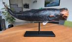 Te koop: Prachtige replica van een potvis., Antiek en Kunst, Kunst | Designobjecten, Ophalen