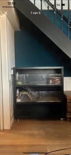 Verlicht caviahok, Dieren en Toebehoren, Ophalen, Kooi, Gebruikt, 90 cm of meer