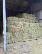 Hooi te koop, Dieren en Toebehoren, Dierenvoeding, Ophalen, Vee