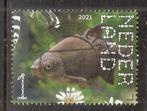 Nederland nr 3917 Gebruikt., Postzegels en Munten, Postzegels | Nederland, Ophalen of Verzenden, Na 1940, Gestempeld