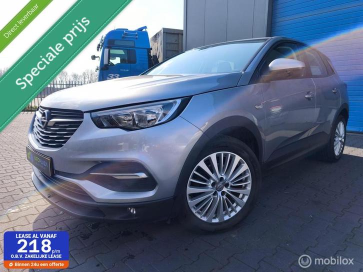 Opel Grandland X / 1.2 / Turbo / Dealer onderhouden / Zuinig, Auto's, Opel, Bedrijf, Te koop, Grandland X, ABS, Airbags, Airconditioning