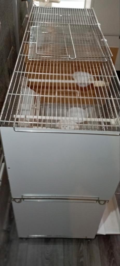 Twee draadkooien met te behoren te koop, Dieren en Toebehoren, Vogels | Hokken en Kooien, Zo goed als nieuw, Broedkooi of Kweekkooi