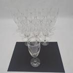 19x champagneflutes van glas  ca. 250 ml, Verzamelen, Ophalen of Verzenden, Zo goed als nieuw, Overige typen