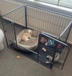 Hondenren, Ophalen, Zo goed als nieuw