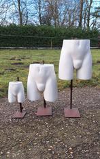 3 x heren buste, torso als model of als kunstproject., Ophalen, ., Paspop, Zo goed als nieuw