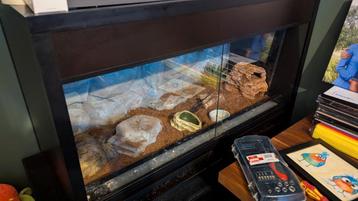 Compleet Terrarium 100x50x60 beschikbaar voor biedingen