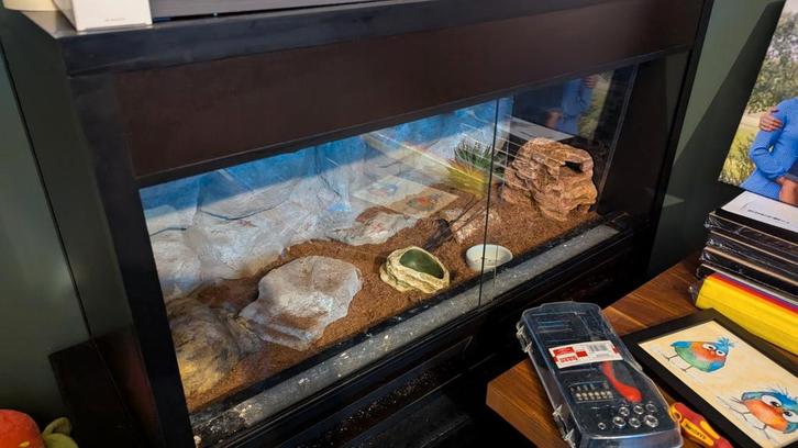 Compleet Terrarium 100x50x60, Dieren en Toebehoren, Reptielen en Amfibieën | Toebehoren, Zo goed als nieuw, Terrarium of Paludarium