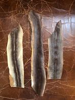 Geprepareerde palinghuid voor binden van garnaaltjes, Watersport en Boten, Ophalen of Verzenden, Overige typen