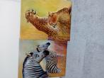 2x dieren schilderij 56x45 cm, Antiek en Kunst, Kunst | Schilderijen | Modern, Ophalen