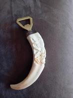 Benen flessenopener wildzwijn, Ophalen of Verzenden, Schedel