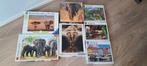 Gratis puzzels, Ophalen