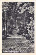Hilversum Spaanderswoud Oude Gelopen Ansichtkaart ( B990 ), Verzamelen, Ophalen of Verzenden, 1920 tot 1940, Gelopen, Noord-Holland