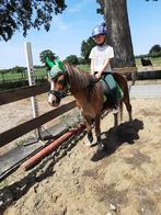 Paardrijles, Dieren en Toebehoren, Ophalen of Verzenden, Dressuur