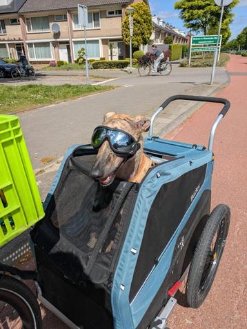 honden fietskar Burley Bark Ranger met Regenhoes beschikbaar voor biedingen