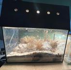 Ingericht terrarium, Dieren en Toebehoren, Ophalen, Zo goed als nieuw, Leeg aquarium