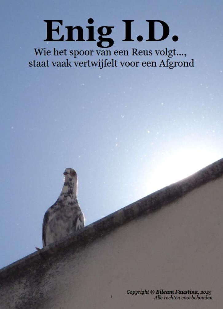 Enig I.D. - Bileam Faustina (gratis pdf), Boeken, Filosofie, Nieuw, Cultuurfilosofie, Ophalen