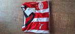 Psv shirt, Groter dan maat XL, Ophalen of Verzenden, Nieuw, Shirt