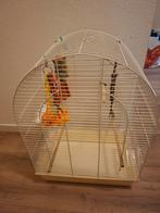 Te koop Grote vogelkooi  incl. inhoud kooi&overige zie foto, Dieren en Toebehoren, Ophalen, Gebruikt, Overige materialen, Vogelkooi