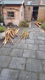 Takken boomstam voor voilere parkieten papegaai eucalyptus, Ophalen, Kooi-accessoires