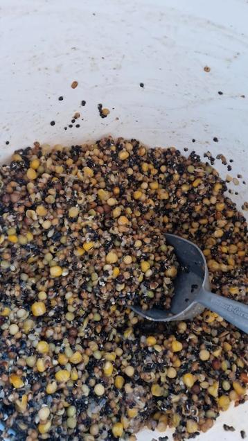 Partikels per 2kg beschikbaar voor biedingen