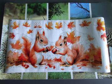 Eekhoorn met esdoornblad raamsticker beschikbaar voor biedingen