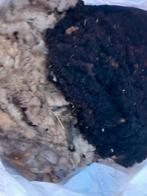 Te koop 2 vachten schapenwol, Hobby en Vrije tijd, Ophalen, Zo goed als nieuw, Spinnewiel