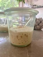 Bio Zuurdesem starter sourdough bread starter brood bakken, Ophalen of Verzenden
