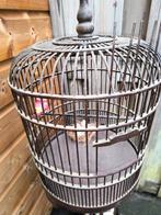 Houten Chinese brilvogelkooi, Dieren en Toebehoren, Vogels | Hokken en Kooien, Ophalen, Gebruikt, Hout, Vogelkooi