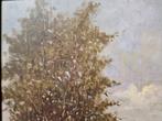 schilderij boeren landschap, Ophalen of Verzenden