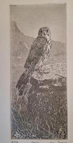 Ets dwergvalk door Jean Thomas, Antiek en Kunst, Ophalen of Verzenden