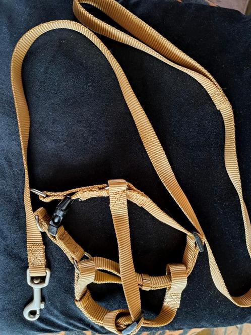 Goudkleurig verstelbaar kattentuigje/hondentuigje met riem, Dieren en Toebehoren, Katten-accessoires, Zo goed als nieuw, Ophalen