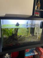 Superfish start 70 tropical kit incl alles compleet, Dieren en Toebehoren, Ophalen, Zo goed als nieuw, Gevuld zoetwateraquarium
