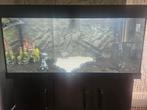 Juwel RIO 180 Aquarium, incl kast, externe pomp, decoraties, Ophalen, Zo goed als nieuw, Gevuld zoetwateraquarium