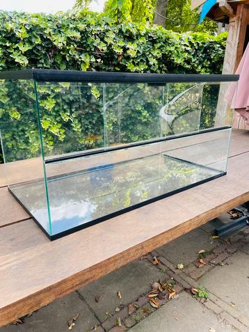 Terrarium 80x40x40 beschikbaar voor biedingen