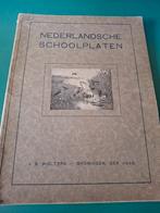 Nederlandsche schoolplaten J.B.Wolters, Ophalen of Verzenden, Overige thema's