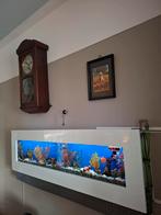 Aangeboden een hang aquarium door mijn hoge leeftijd stop ik, Dieren en Toebehoren, Vissen | Aquaria en Toebehoren, Ophalen, Zo goed als nieuw