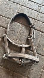 Eskadron halster maat cob, Dieren en Toebehoren, Ophalen of Verzenden, Zo goed als nieuw, Overige soorten